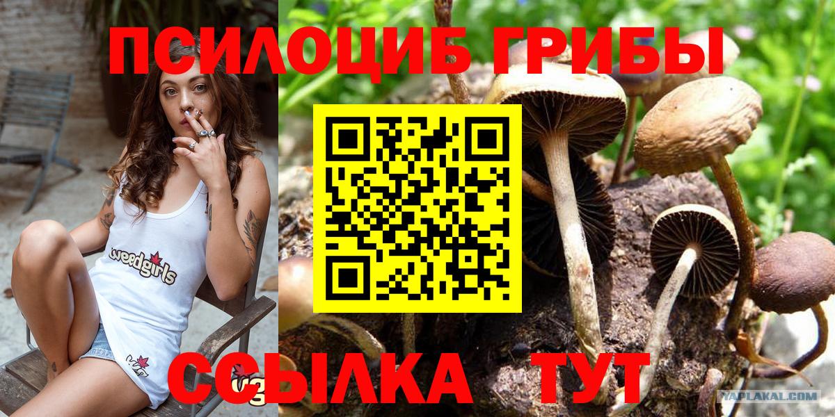 Губаха  Галлюциногенные грибы Magic Shrooms  Вход с VPN 