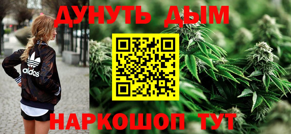Канабис сатива  Канабис ГИДРОПОН  Канабис SATIVA & INDICA  Губаха  Вход с VPN 